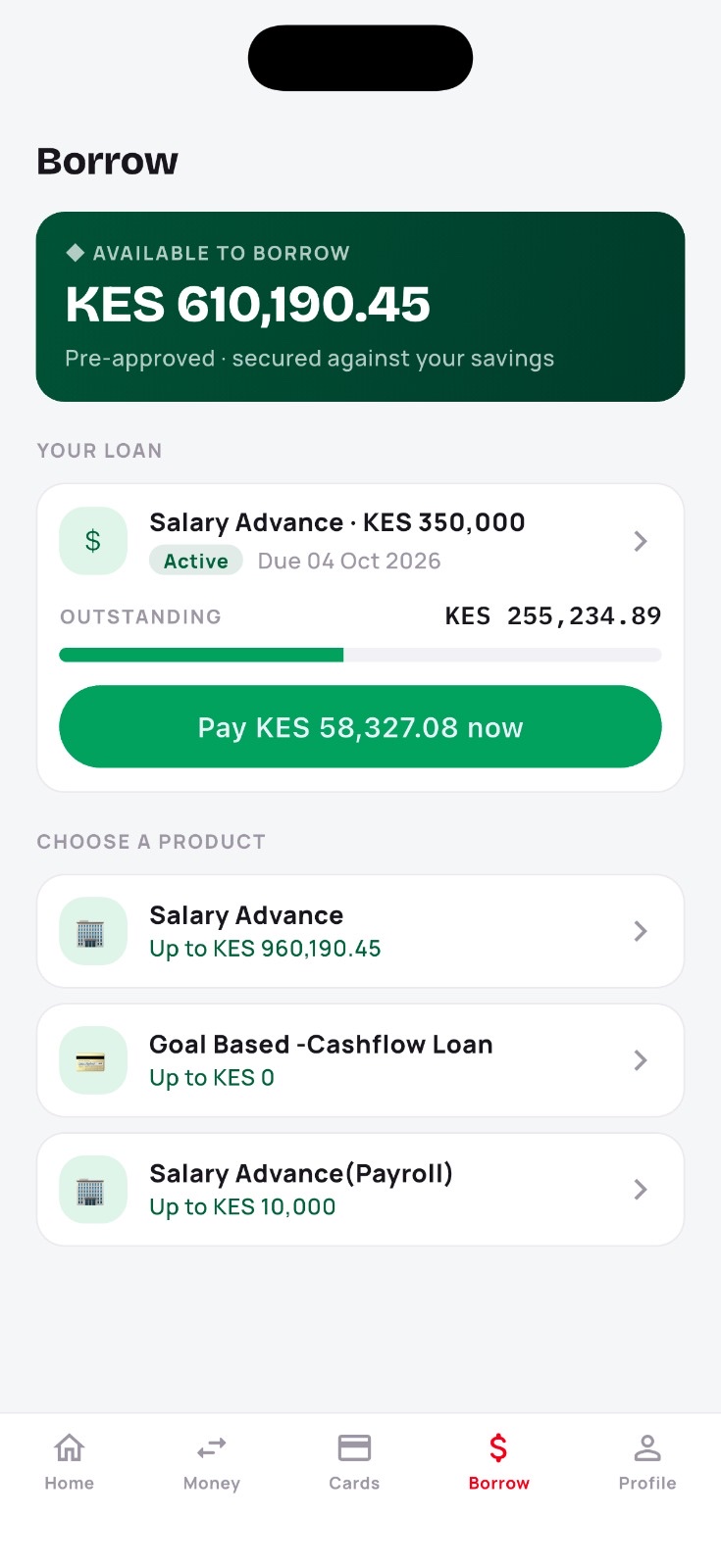 Apenia app — Borrow